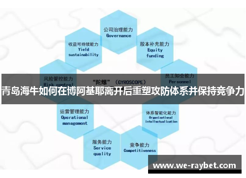 青岛海牛如何在博阿基耶离开后重塑攻防体系并保持竞争力 青岛海牛如何在博阿基耶离开后重塑攻防体系并保持竞争力